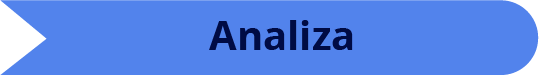 Analiza